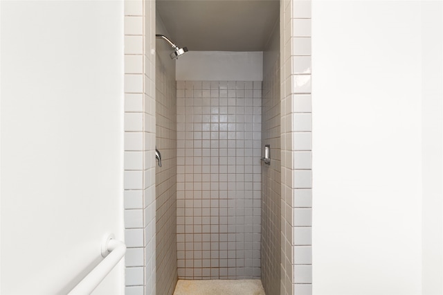 1115 N Luna Cir, Santa Fe, NM 87501 - bathroom featuring a stall shower