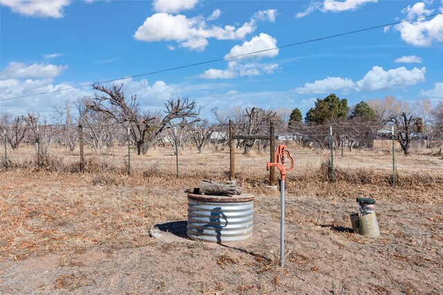 view of yard with a rural view