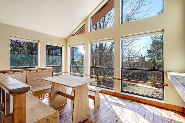 sunroom with lofted ceiling and plenty of natural light