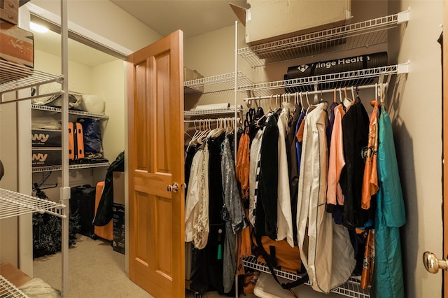 walk in closet featuring carpet