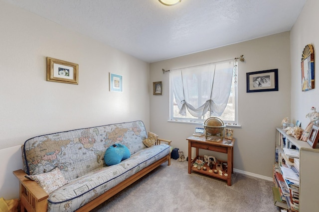 sitting room featuring a textured ceiling, baseboards, and carpet flooring