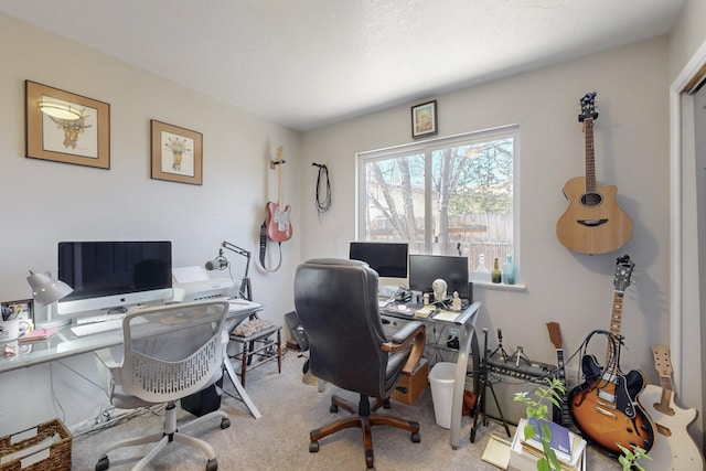 view of carpeted office space