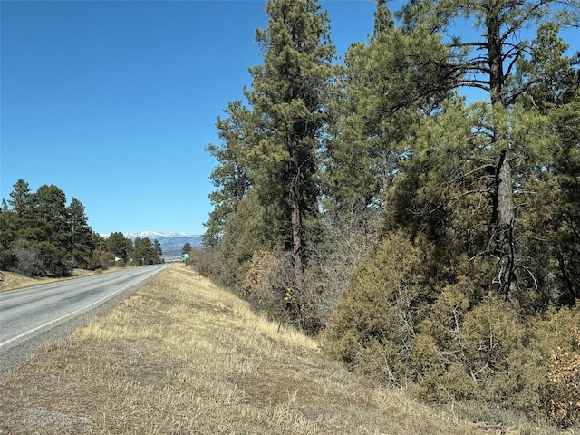 TBD US Highway 84, Tierra Amarilla NM, 87575 land for sale