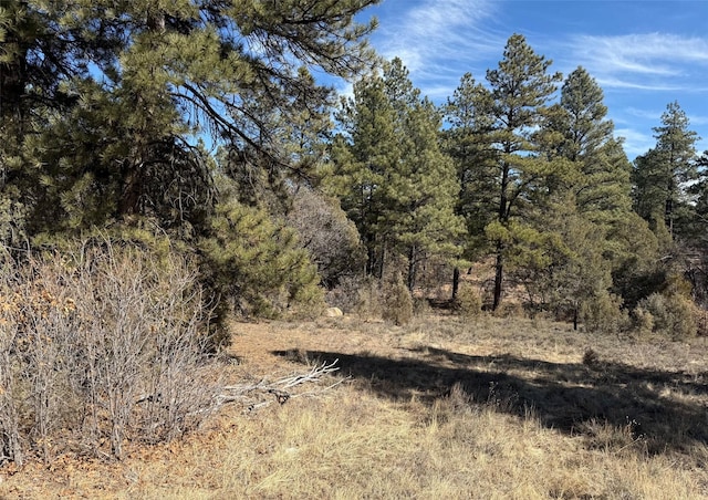 Listing photo 2 for TBD US Highway 84, Tierra Amarilla NM 87575