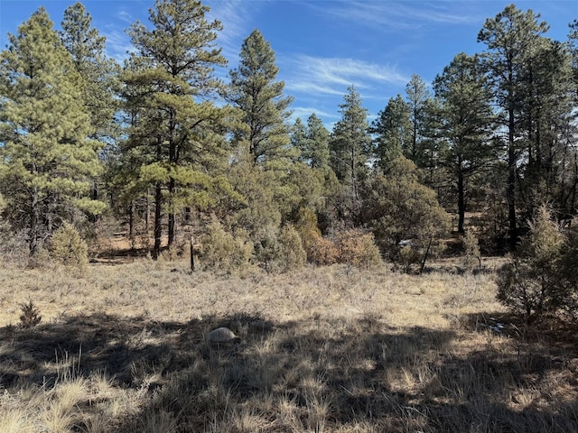 Listing photo 3 for TBD US Highway 84, Tierra Amarilla NM 87575