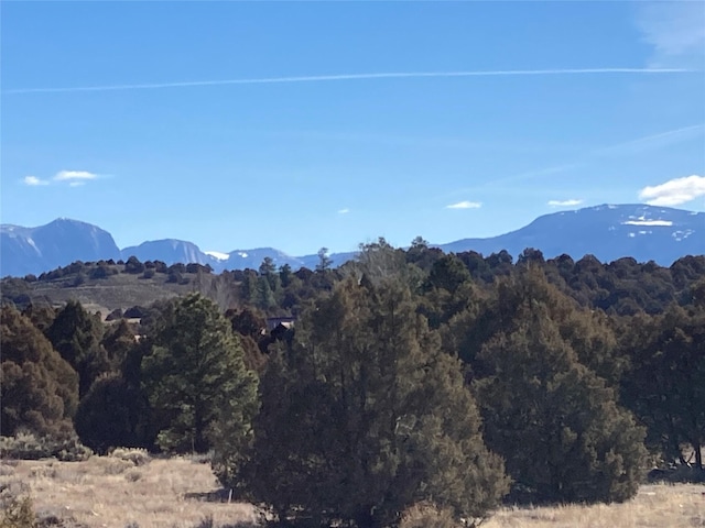 TBD Shroyer, Rutheron NM, 87551 land for sale