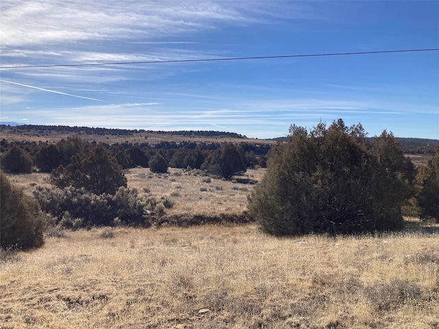 Listing photo 2 for TBD Shroyer, Rutheron NM 87551