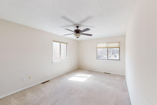 unfurnished room featuring a textured ceiling, a wealth of natural light, and light colored carpet