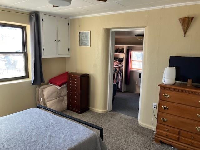 carpeted bedroom featuring a walk in closet, baseboards, a closet, and ornamental molding