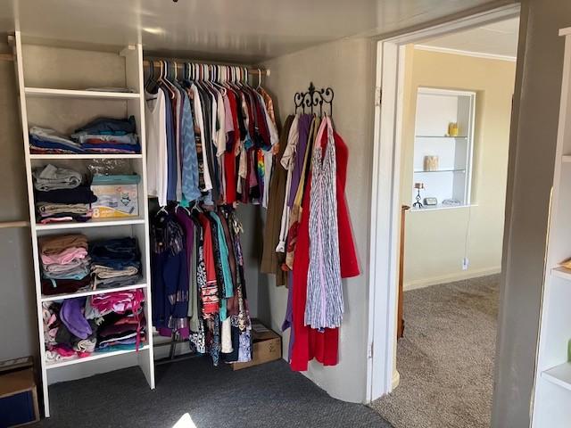 spacious closet featuring carpet flooring