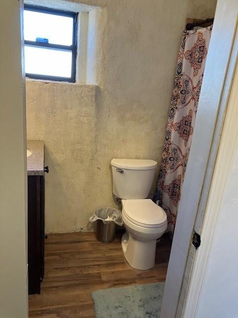 bathroom with vanity, toilet, and wood finished floors