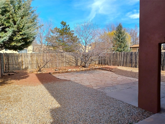 view of yard featuring a patio and a fenced backyard