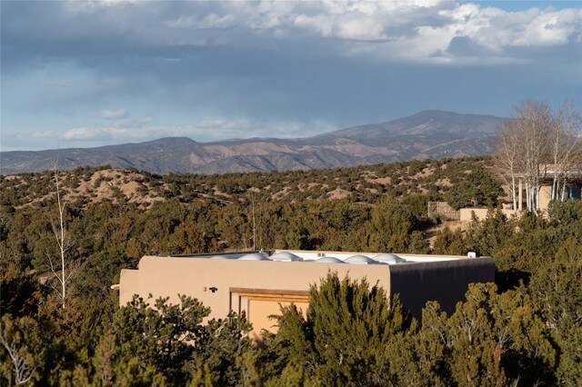 view of mountain feature featuring a wooded view