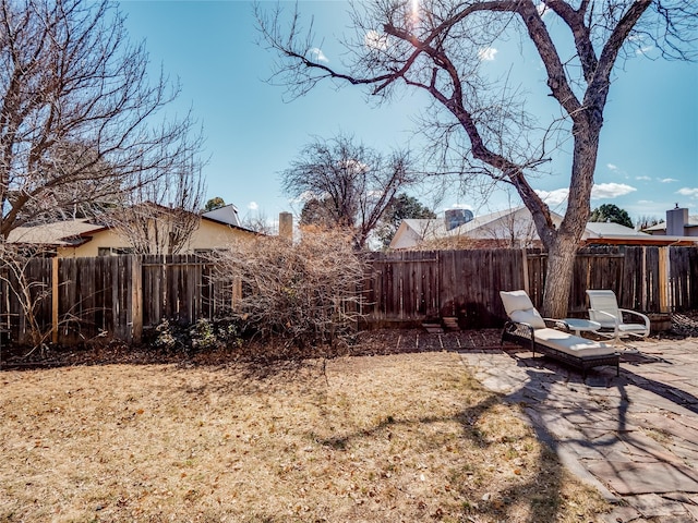 view of yard with a patio area and a fenced backyard