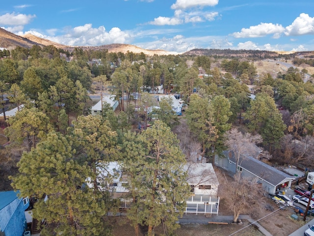 bird's eye view featuring a mountain view