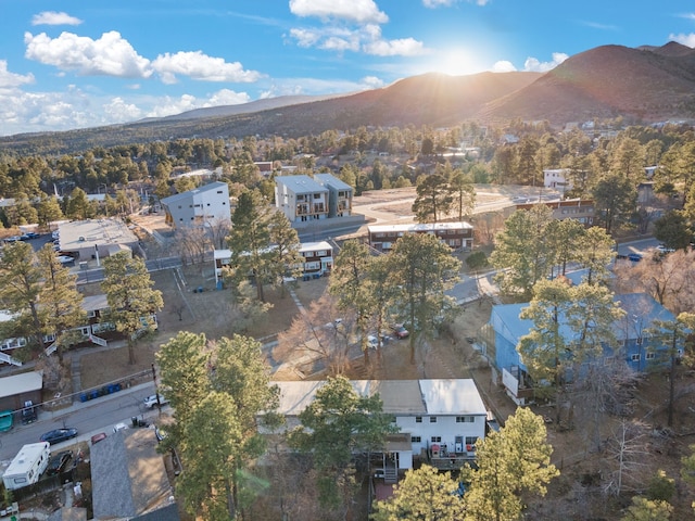 birds eye view of property with a mountain view