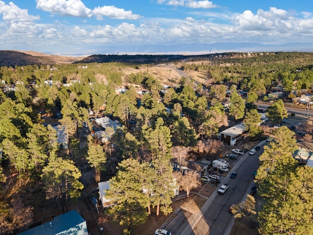 aerial view with a forest view and a mountain view