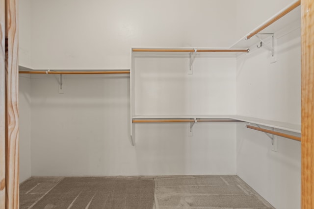 spacious closet with carpet flooring