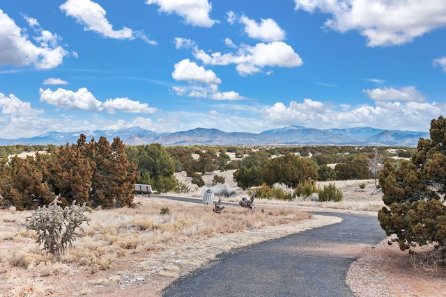 view of mountain feature