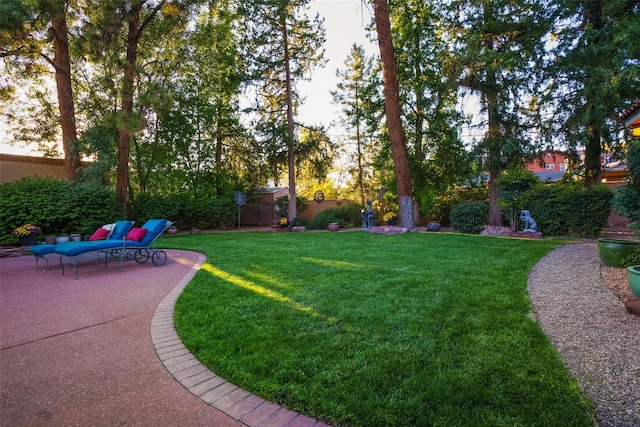 view of yard with a patio area