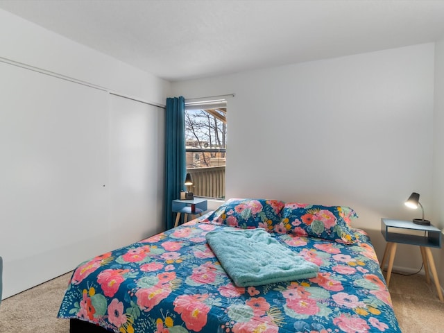 941 Calle Mejia Unit 715, Santa Fe, NM 87501 - carpeted bedroom with a closet