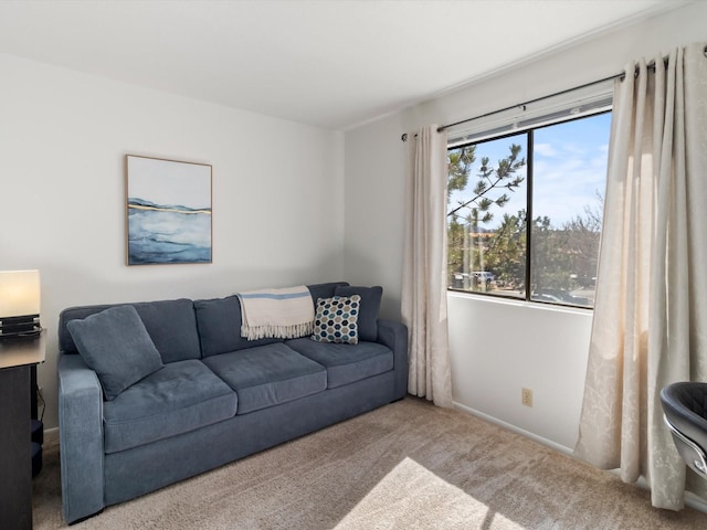 living area featuring baseboards and carpet floors