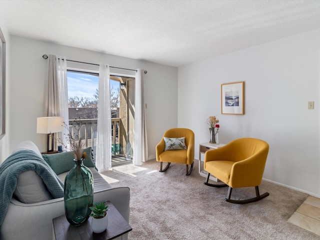 941 Calle Mejia Unit 715, Santa Fe, NM 87501 - living area with carpet floors