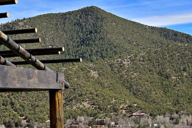 view of mountain feature featuring a forest view