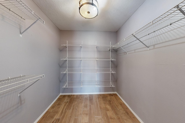 spacious closet featuring wood finished floors