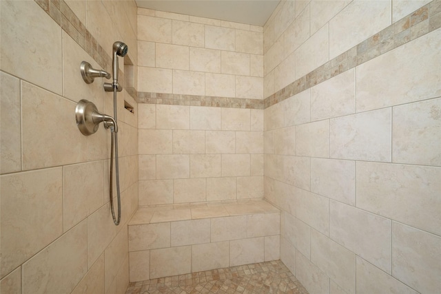 interior details featuring tiled shower