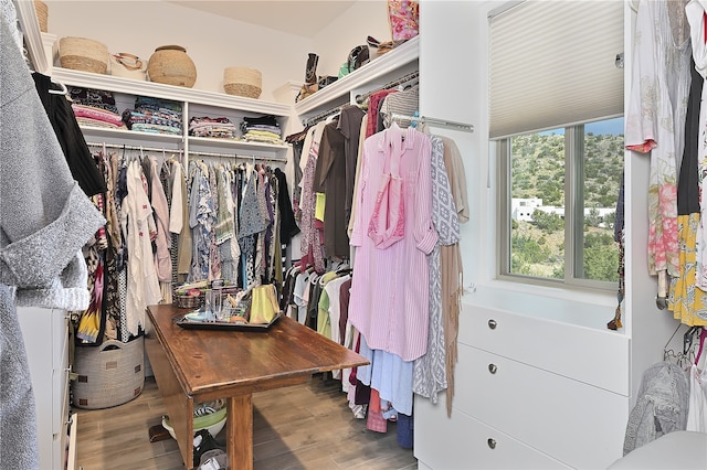 walk in closet with wood finished floors