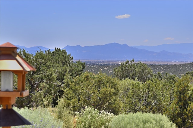 view of mountain feature