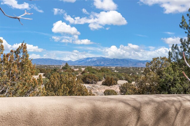 view of mountain feature