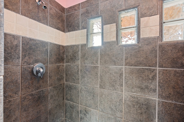 interior details with tiled shower