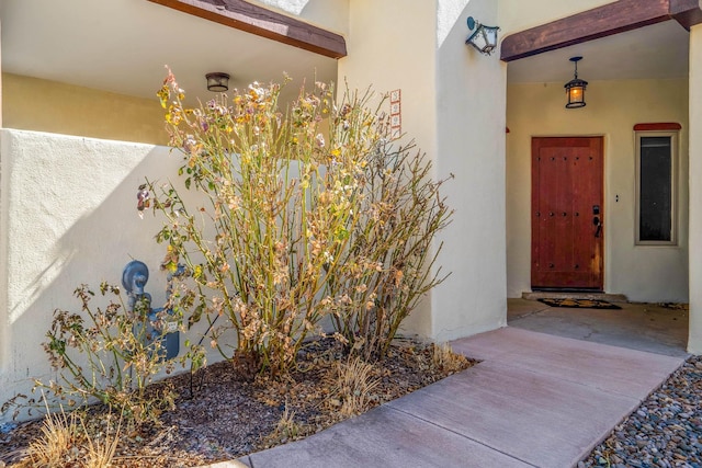 view of exterior entry featuring stucco siding