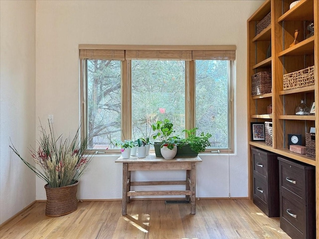 interior space featuring a healthy amount of sunlight, light wood-type flooring, and baseboards