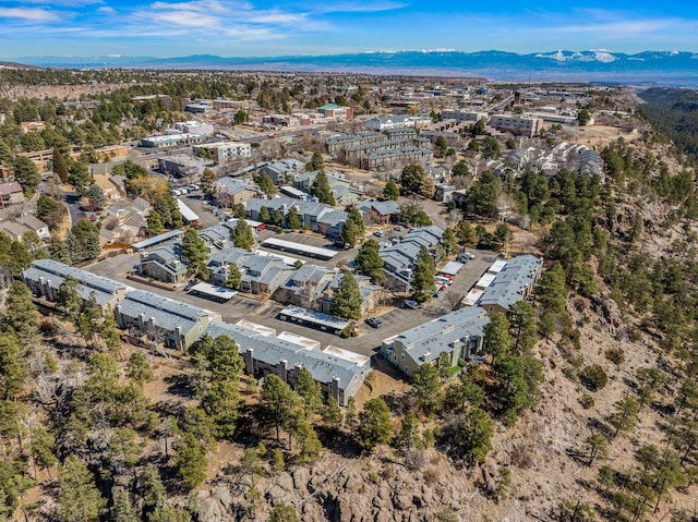 drone / aerial view featuring a mountain view