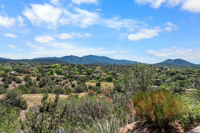 view of mountain feature