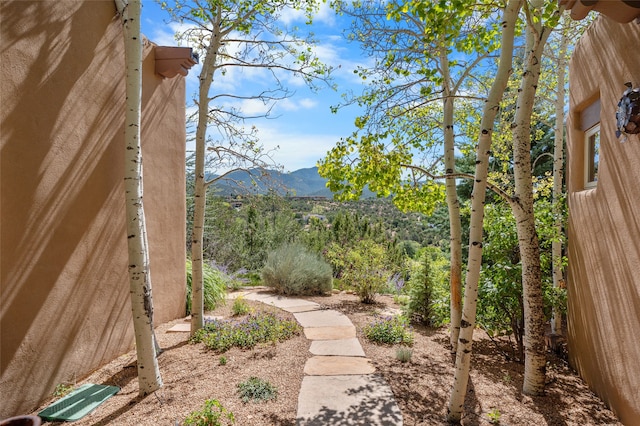 view of yard with a mountain view