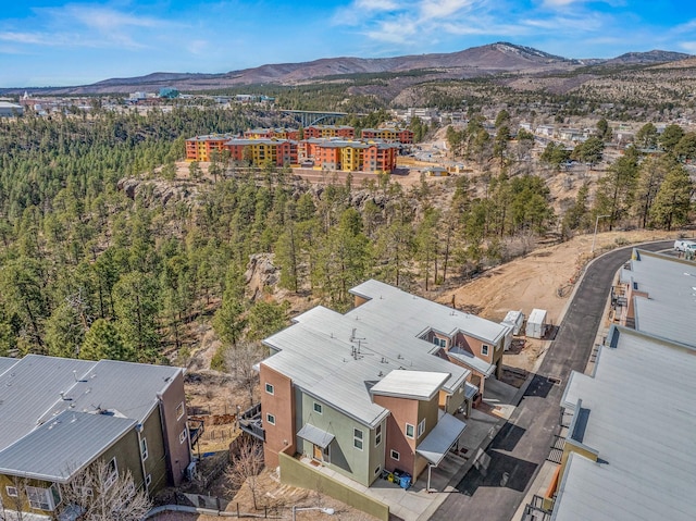 birds eye view of property with a mountain view