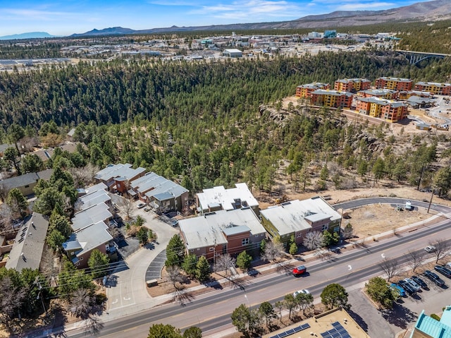 birds eye view of property featuring a mountain view