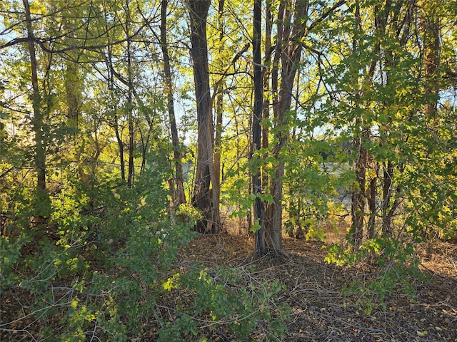 view of nature with a forest view