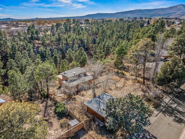 birds eye view of property featuring a forest view and a mountain view