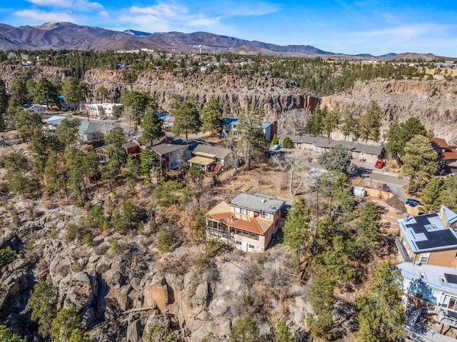 drone / aerial view featuring a mountain view and a view of trees