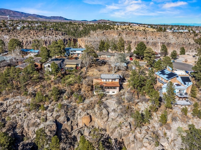 drone / aerial view with a mountain view and a view of trees