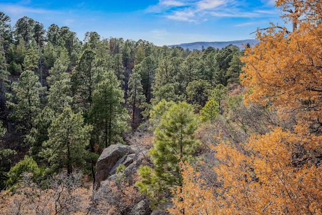 property view of mountains with a forest view