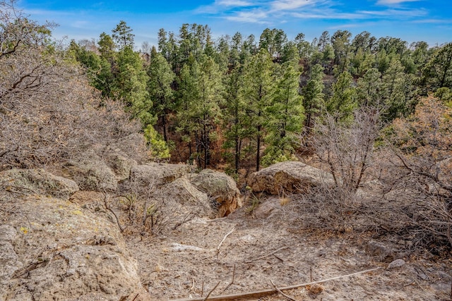 view of local wilderness with a view of trees