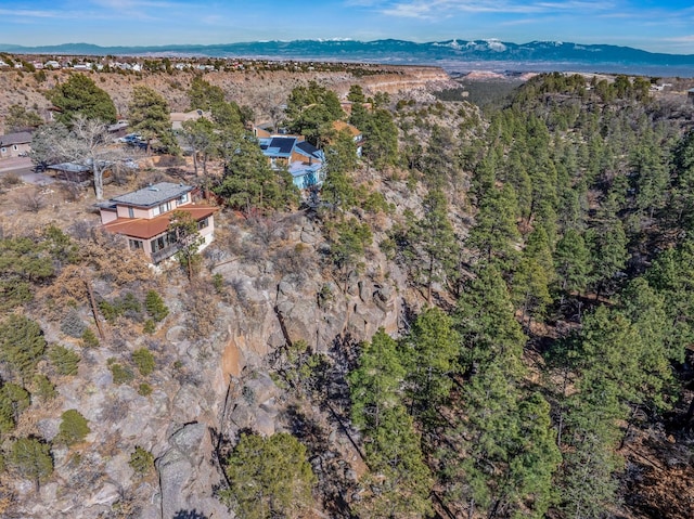 birds eye view of property with a mountain view and a wooded view