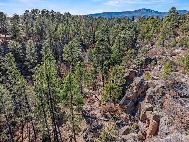 property view of mountains with a wooded view