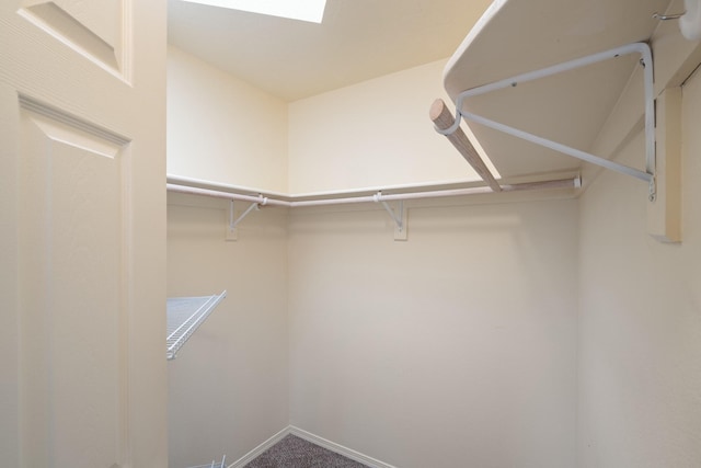 spacious closet featuring carpet floors and a skylight